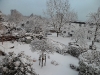 schöner Schnee