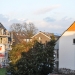 Wenn fünf stolze, alte Tannen ihren Kopf verlieren