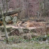 zoom_002.JPG