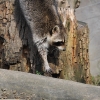 zoom_015.JPG