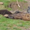 zoom_016.JPG