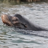zoom_019.JPG