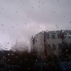 Hertie