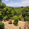 Tubigon Hillpark