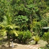 Tubigon Hillpark