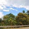090417-020.JPG