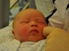 Alexander