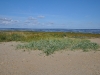 cuxhaven-009