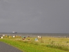 cuxhaven-026
