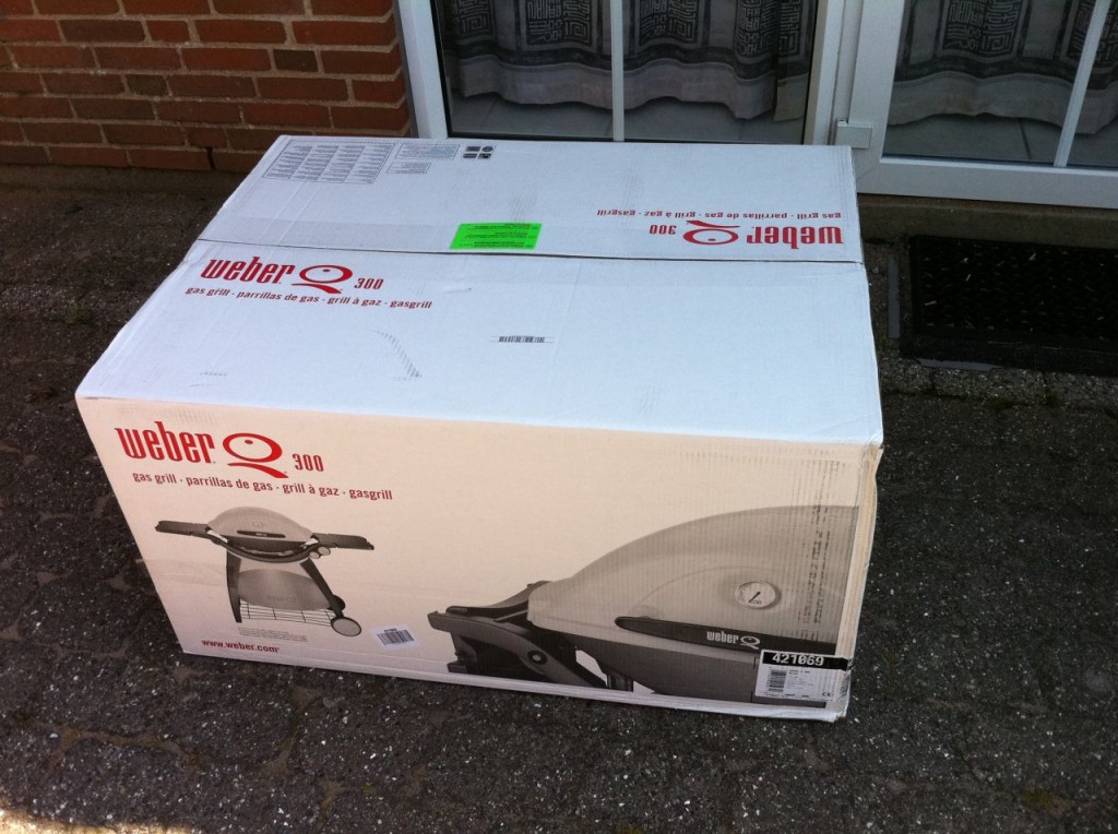 Weber Q300